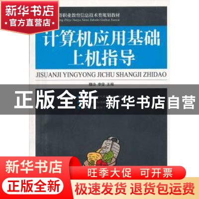 正版 计算机应用基础上机指导 魏功,李莹 人民邮电出版社 9787115