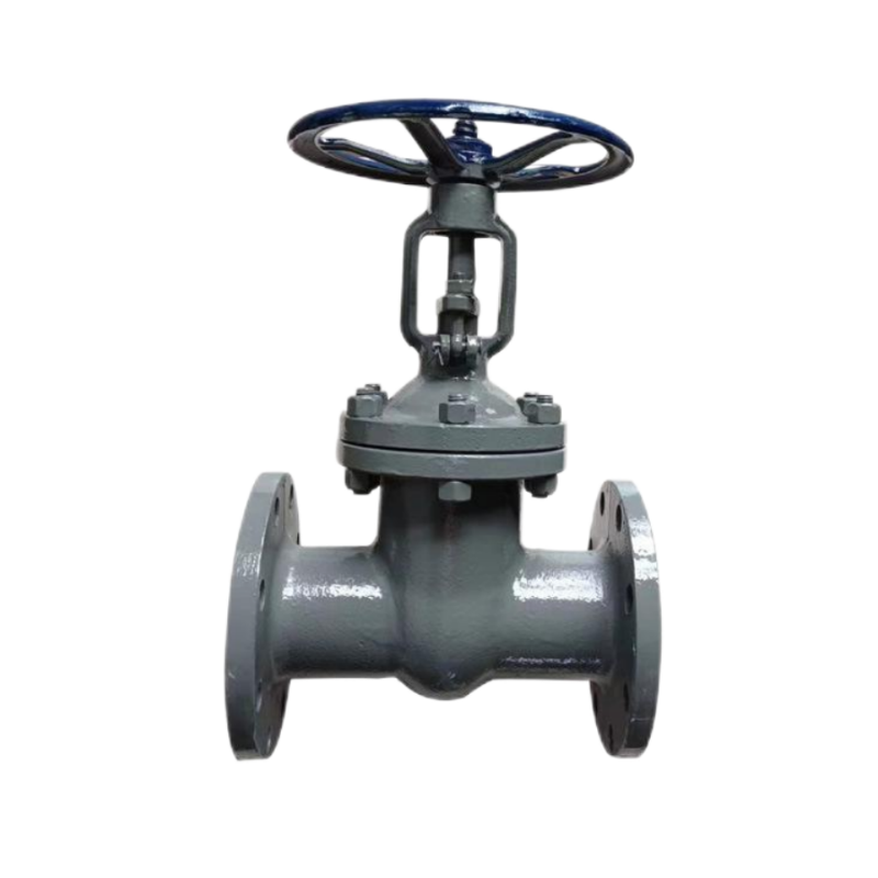 闸阀DN100高清大图