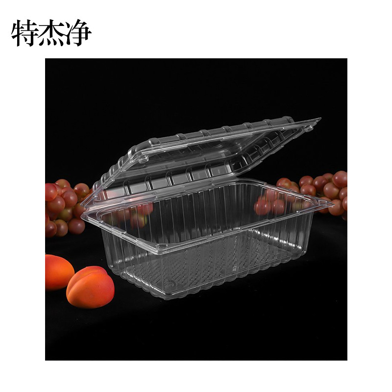 特杰净TJ-BZ1 保鲜盒 包装盒 100个箱(单位:箱)透明色
