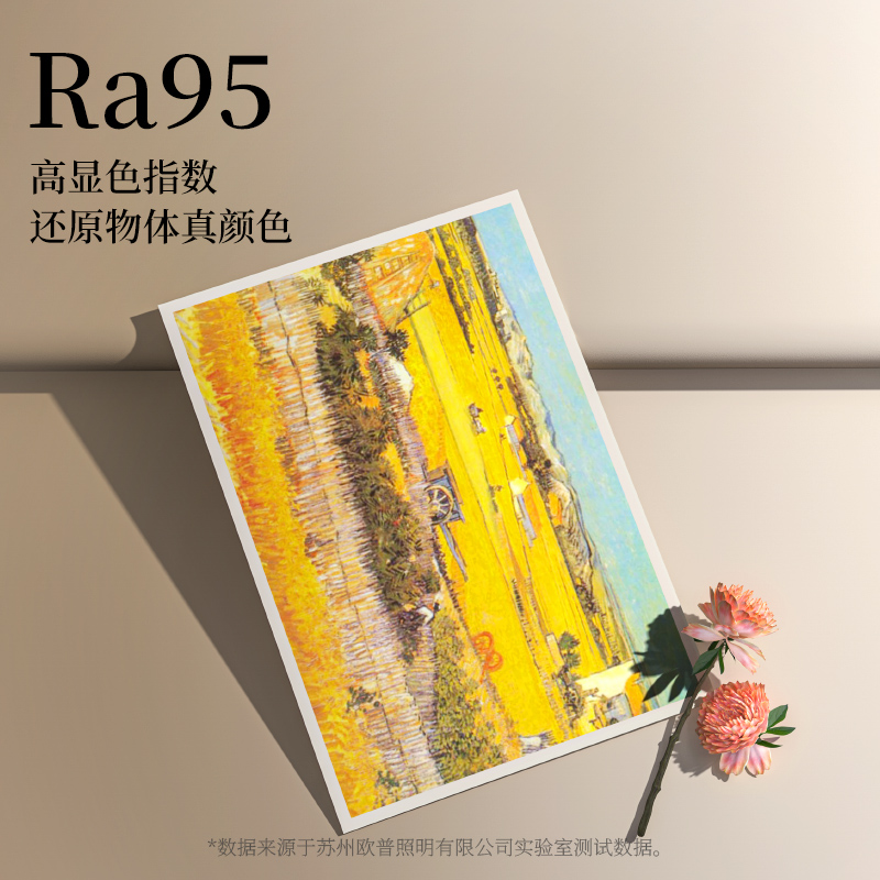 欧普照明智控升级一体安装防尘led圆形方形现代黑边简约卧室餐厅书房吸顶灯WS高清大图