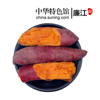 [2件起售]西瓜红红薯 蜜薯 2.5斤普通装 甜番薯地瓜 新鲜蔬菜
