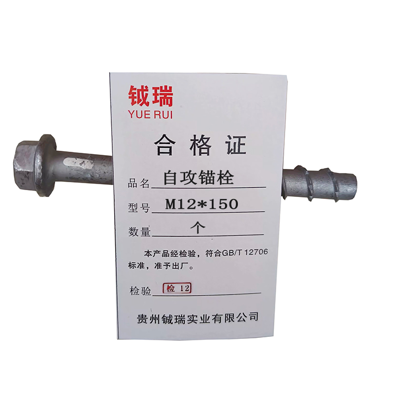 钺瑞自攻锚栓M12*150/个