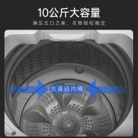 威力10公斤全自动波轮洗衣机 抗菌波轮 家用洗脱大容量 XQB100-10099