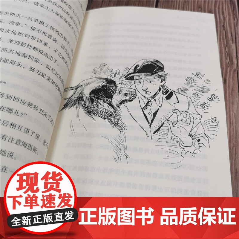 灵犬莱西 打动孩子心灵的经典童话故事儿童文学小学生二年级三年级四年级寒暑假课外书正版中国少年儿童出版社高清大图