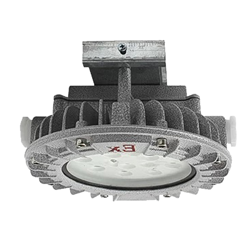 亮思能 LED吸顶式防爆灯 仓库灯 LSN-FXR 100W 个高清大图