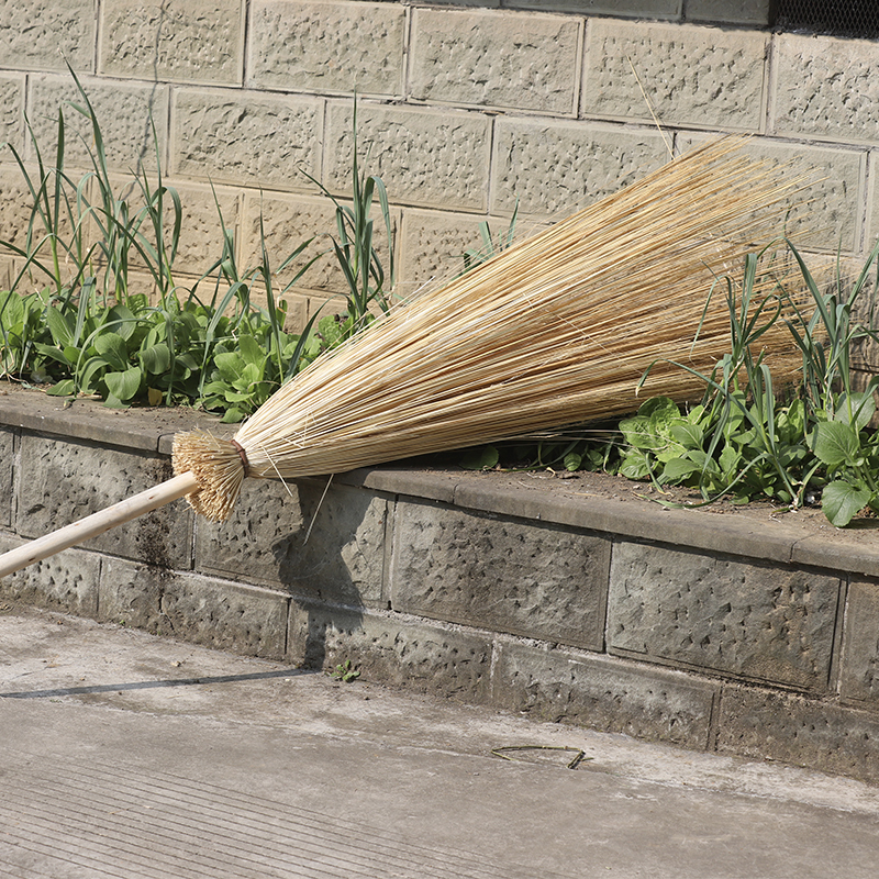 谐晟芨芨草大扫把环卫大笤帚扫帚1把