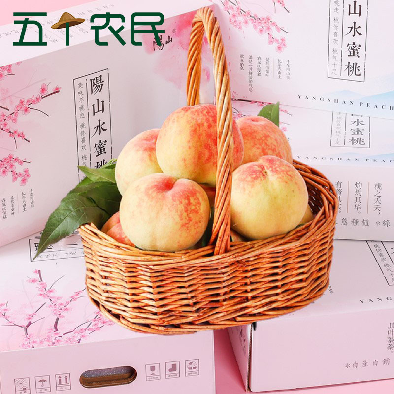 [五个农民]正宗无锡阳山水蜜桃湖景桃7-8两6个礼盒装新鲜水果桃子 产地空运直发