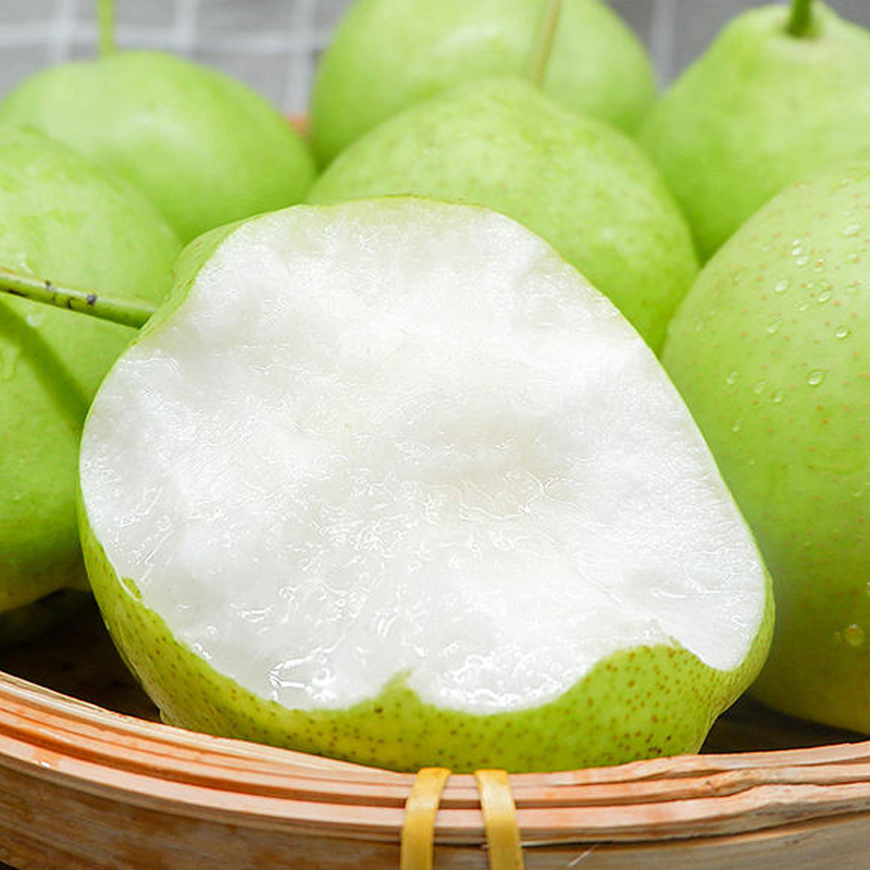 [西沛生鲜]山东新鲜蜂糖梨 净重5斤 大果 单果300g以上 酥梨子 新鲜