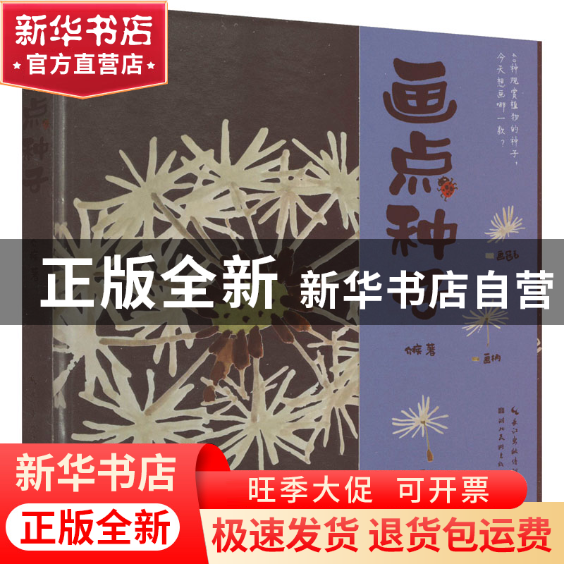 正版 画点种子 介疾 湖北美术出版社 9787571215989 书籍高清大图