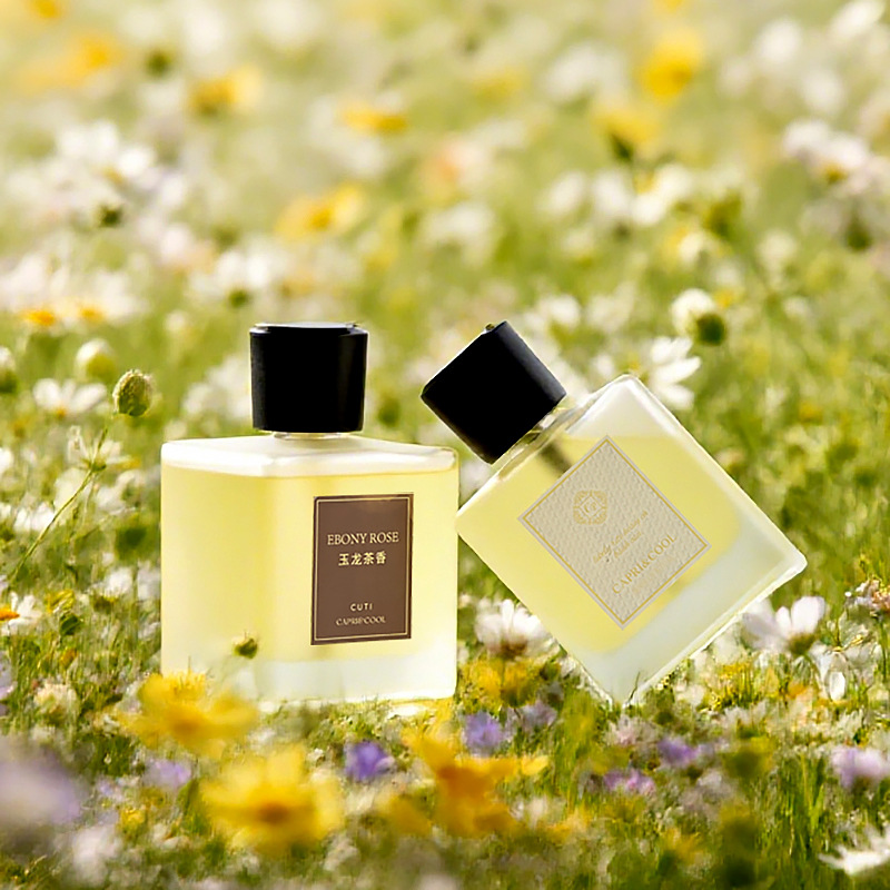 CAPRI&COOL500ML家居香氛机无火香氛室内酒店香薰喷雾机持久留香卫生间除臭 玉龙茶香500ML简装[直喷款]高清大图