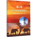 非洲电力市场规划研究(精)