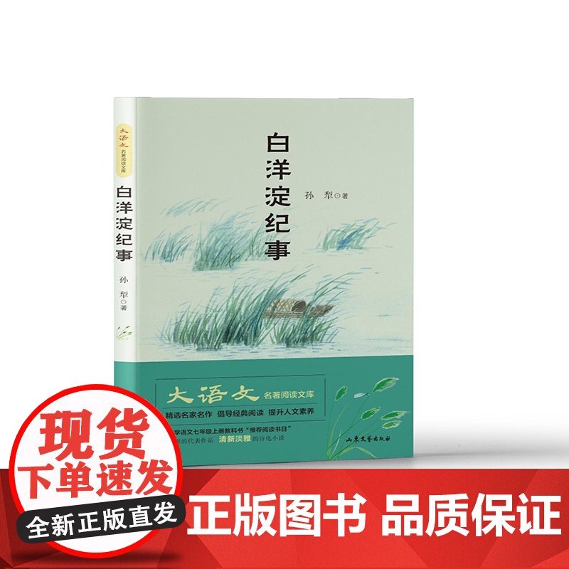 白洋淀纪事高清大图