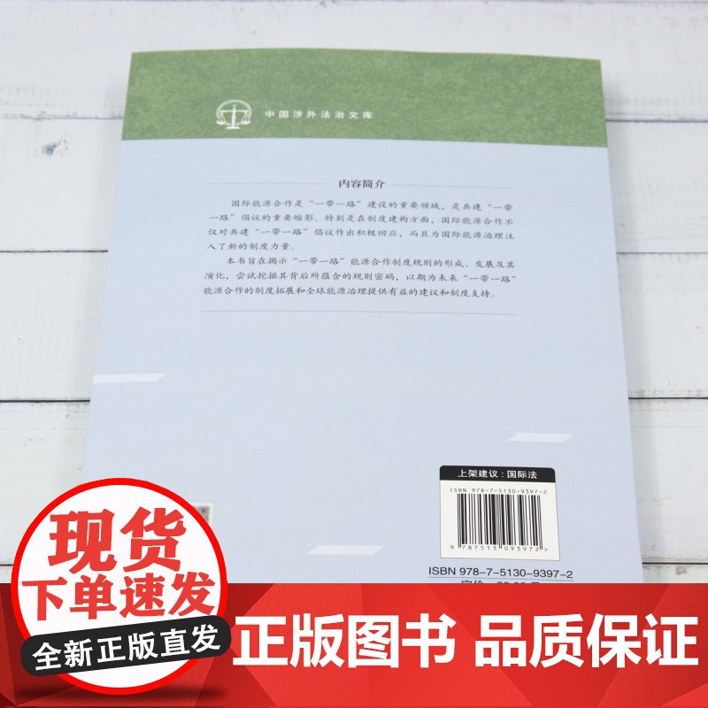 “一带一路”能源合作:制度建构与路径选择高清大图