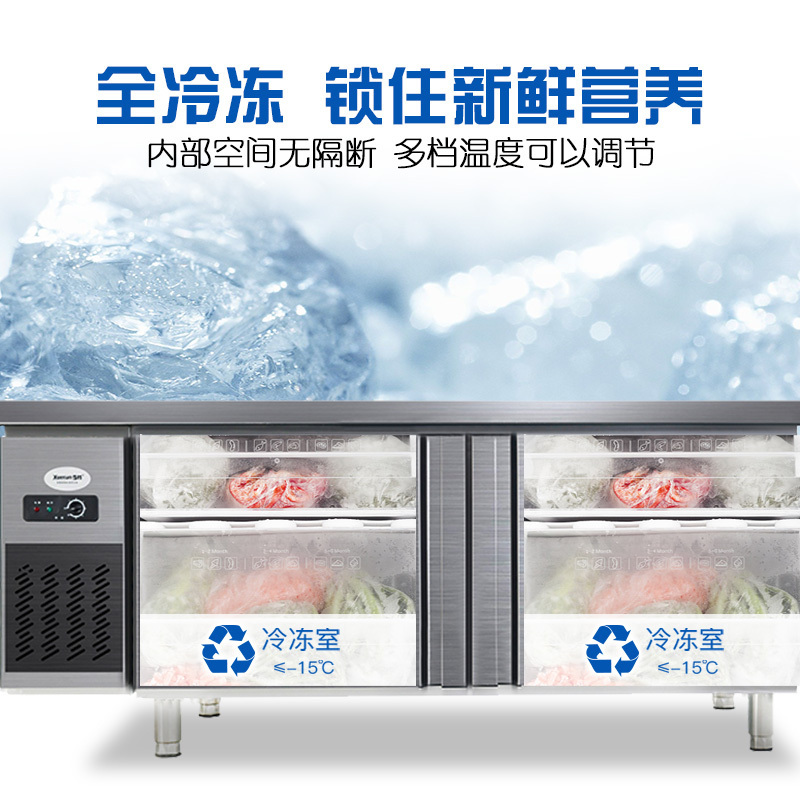 雪村(Xuecun) 1.2米全冷冻工作台 卧式冷柜 商用厨房柜 不锈钢奶茶店 商用冷柜 冰柜PLD-12N2