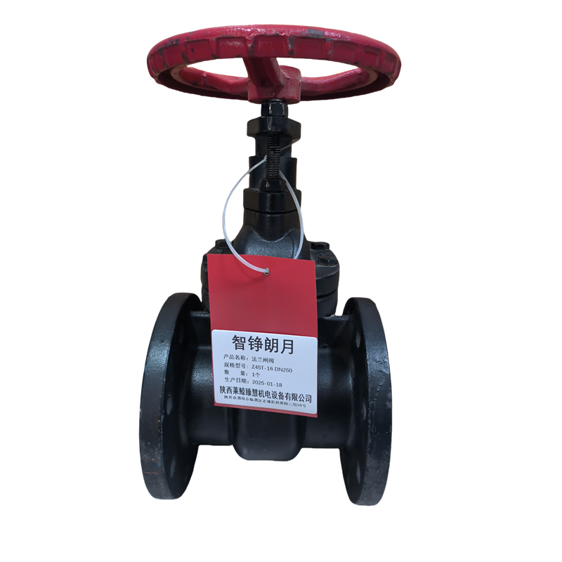 智铮朗月 法兰闸阀 Z45T-16 DN250 个