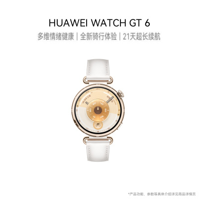 华为智能手表 HUAWEI WATCH GT6 (KSU-B19) 41mm 白色复合素皮表带 浮光白