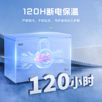 澳柯玛BC/BD-308HNE大容量家用冰柜一级能效减霜阻霜商用冷柜顶开冷冻冷藏冰箱
