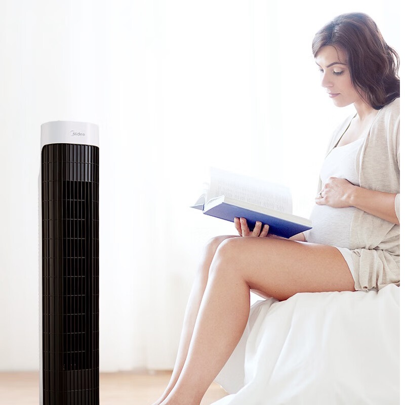 美的 ( Midea) 电风扇 FZA10WA 台高清大图