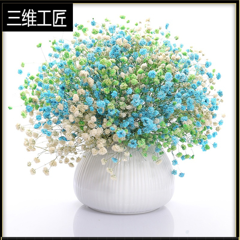 满天星干花 永生花花束干花装饰摆件网红ins永生花