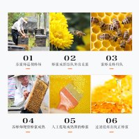 【中华特色】江华馆 野生纯蜂蜜500g装