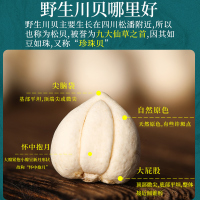 再春堂川贝母50g