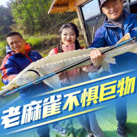 迈高登王者神剑钓鱼竿超轻超硬鱼竿手杆鲫鱼竿黑坑台钓竿轻量大物竿