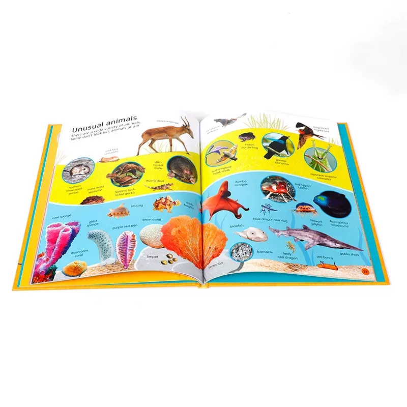 [醉染正版]英文原版 DK 1000 Animal Words 动物1000词 世界各地动物生活词汇 儿童英语单词趣味高清大图