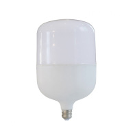 FOREV DT 5W LED球泡*100个 73994