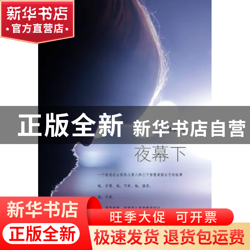 正版 夜幕下 北雁著 暨南大学出版社 9787566807908 书籍