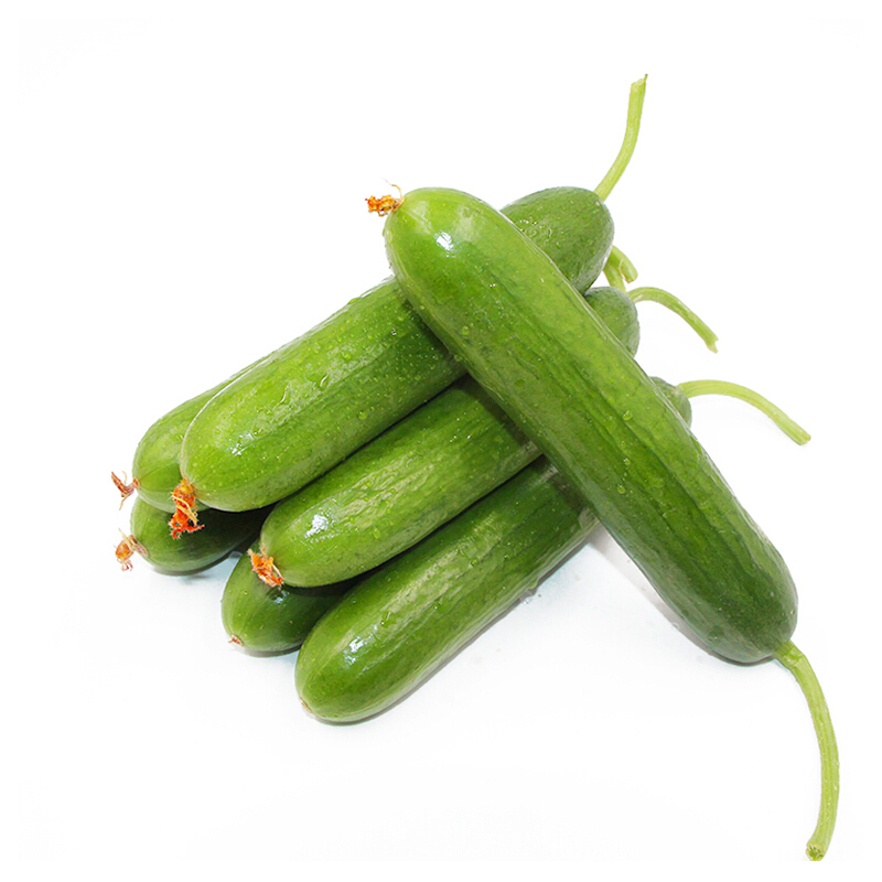 荷兰小黄瓜新鲜水果黄瓜嫩甜脆青瓜 无刺小黄瓜2.5kg新鲜蔬菜
