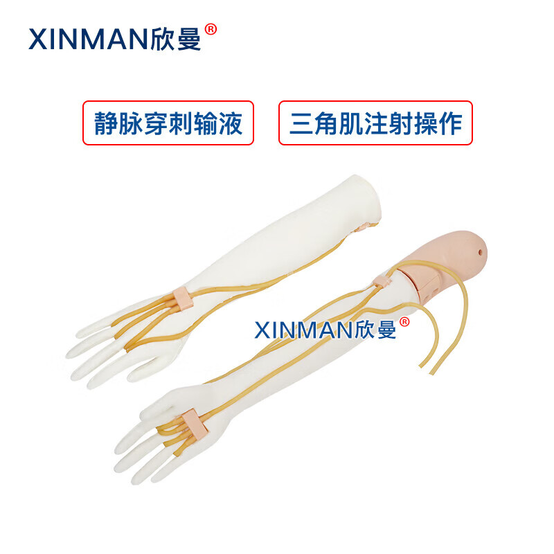 欣曼科教 静脉输液模拟训练模块 静脉穿刺输液手臂及肌肉注射模型XM-S1010高清大图