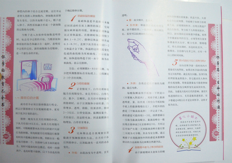 [醉染正版]怀孕胎教育儿全书 彩图 家庭医生营养保健常识高清大图