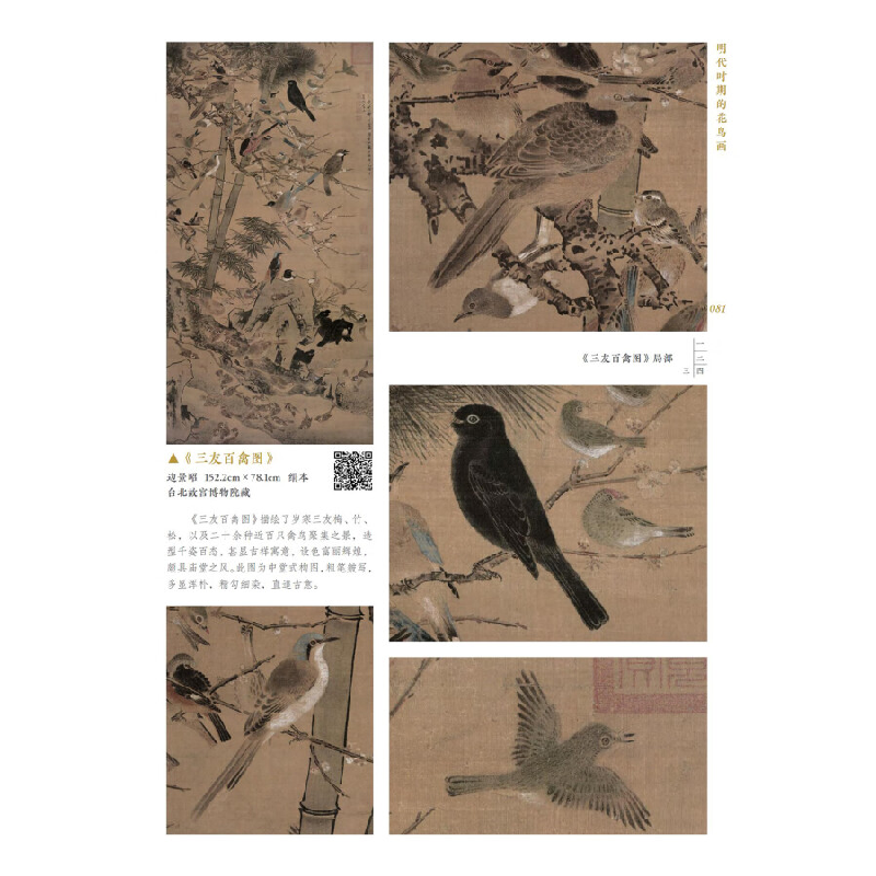 正版新书]历代经典国画画谱·飞羽啼鸣张阳 编9787571218812高清大图