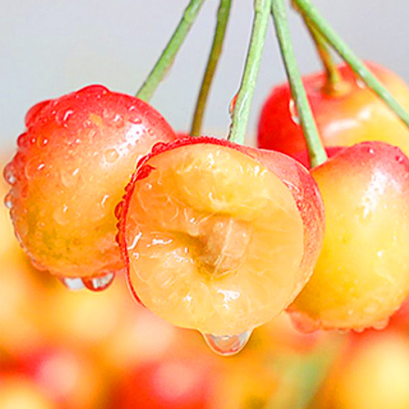 [苏鲜生]顺丰空运 智利进口黄金车厘子 净重4斤 JJ级 应季车厘子 新鲜水果 酸甜可口 西沛高清大图