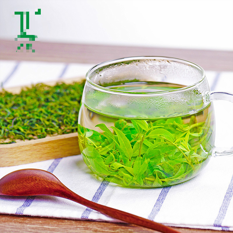 小叶苦丁茶新茶茶 小叶二罐装150克