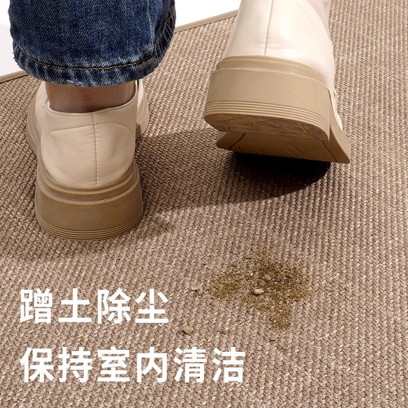 入户门地垫家用轻奢高级感入户垫大门口防滑脚垫进门垫子耐脏地毯高清大图