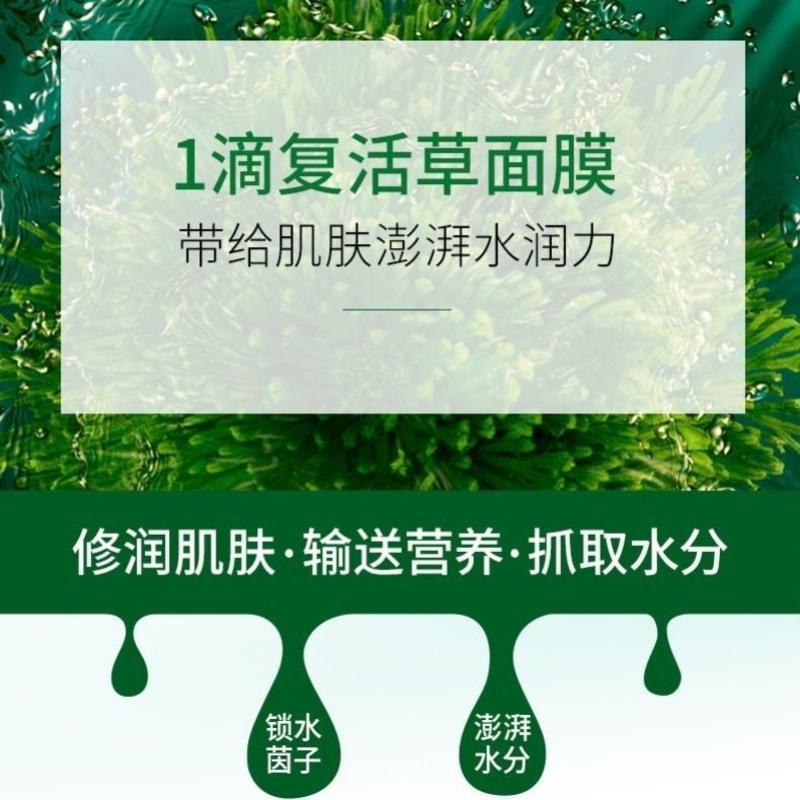 干皮救星过敏包退复活草睡眠面膜补水保湿修复学生涂抹式膏状面膜 复活草睡眠面膜1盒装