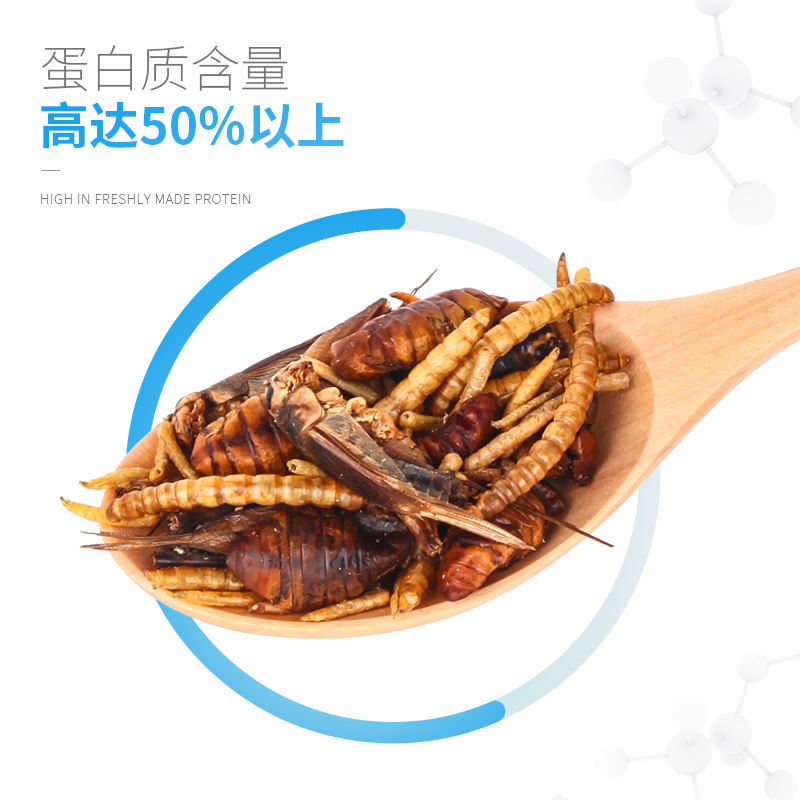 仓鼠粮食面包虫蚕蛹蟋蟀干非洲迷你刺猬零食主粮饲料食物高清大图