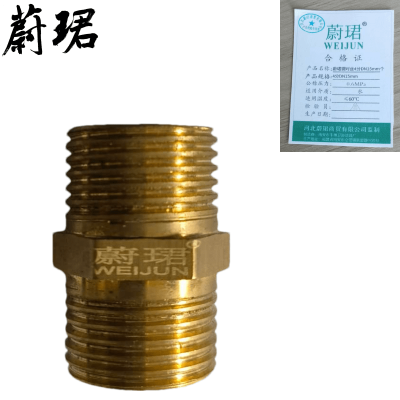 蔚珺铜对丝4分DN15mm