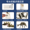 恐龙化石考古科学实验科技制作创客DIY石膏挖掘模型玩具 三角龙+考古化石套装