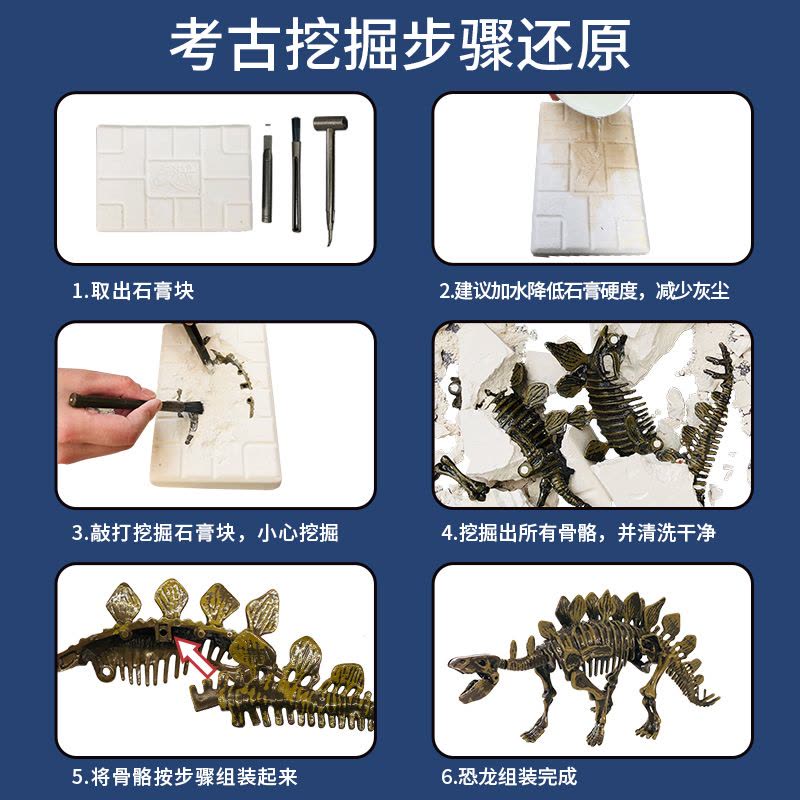 恐龙化石考古科学实验科技制作创客DIY石膏挖掘模型玩具 三角龙+考古化石套装图片