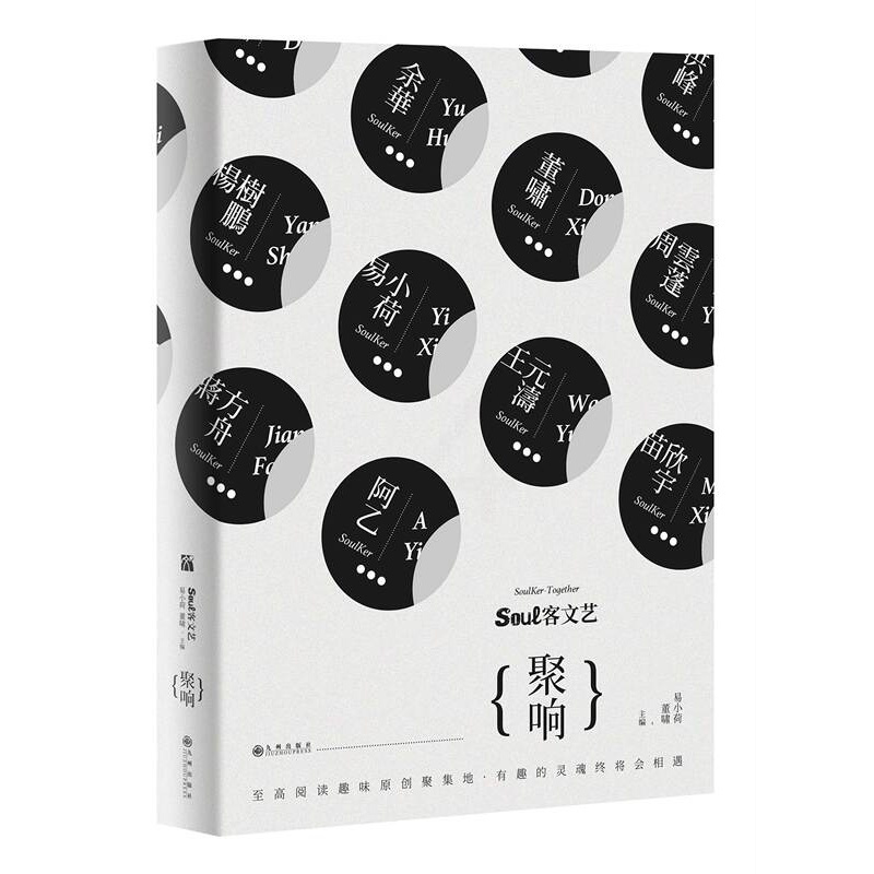 [正版]soul客文艺:聚响 有趣的灵魂终将会相遇 现代文学散文作品集