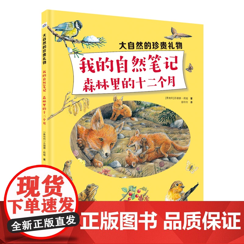 大自然的珍贵礼物—我的自然笔记:森林里的十二个月高清大图