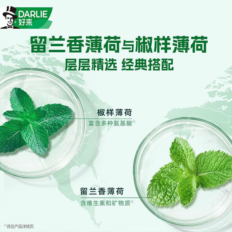 DARLIE好来(原黑人)双重薄荷牙膏清新口气防蛀固齿减轻口气去渍3支675g高清大图