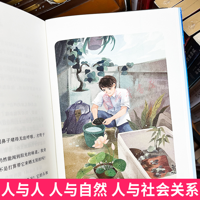 龟说 [正版]2024暑假读一本好书龟说 新月著儿 童文学8-14岁岁小学生三四五六年级课外阅读书籍故事书学校热售书