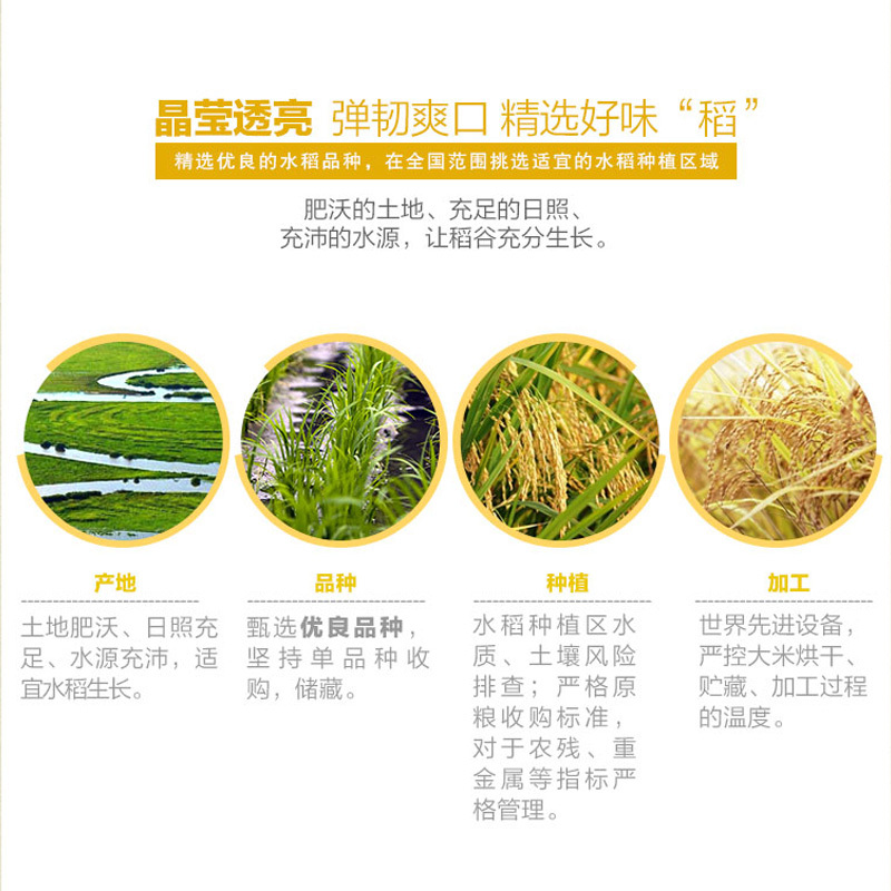 金龙鱼葵花籽清香调和油5L+金龙鱼精选珍珠米5KG大米组合家用食用高清大图