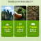 北京同仁堂冬青科苦丁茶海南大叶苦丁茶养生茶降无硫正品血非糖小叶特级压嫩芽茶叶官方正品