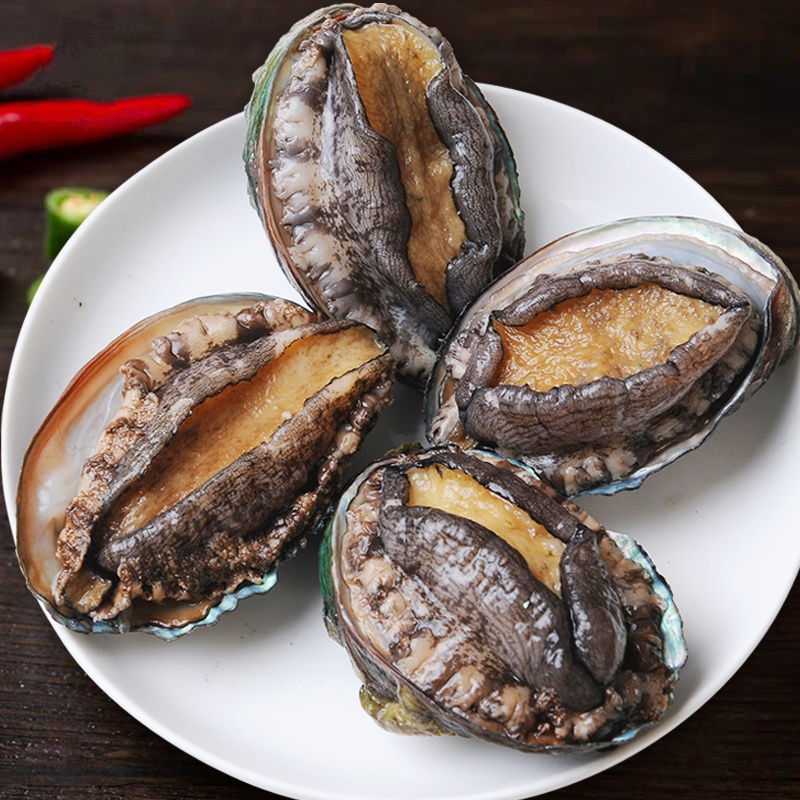 青岛新鲜鲍鱼鲜活海鲜冷冻生鲜水产即食生冻鲍鱼特大10头