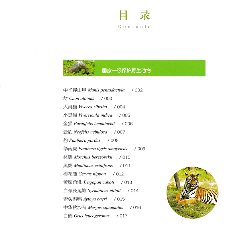 [正版]广东省国家重点保护陆生动物 普及珍稀濒危动物知识 精装全彩印刷 高清动物图照