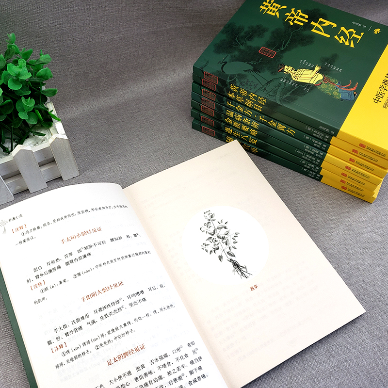 [醉染正版]中医养生全套8册 黄帝内经正版原著 本草纲目李时珍 金匮要略千金方原文注释译文 中医基础理论书籍本草纲目中医高清大图